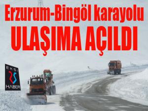 Çığ gelen Erzurum-Bingöl Karayolu ulaşıma açıldı 