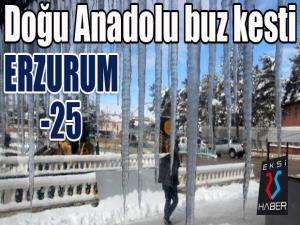 Doğu Anadolu buz kesti: Erzurum eksi 25 