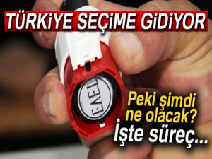 Erken seçim kararı alındı! Türkiye seçime gidiyor... Peki şimdi ne olacak?