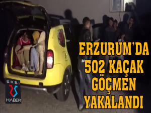 Erzurumda 502 kaçak göçmen yakalandı