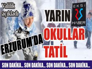 Erzurum'da eğitime kar tatili...