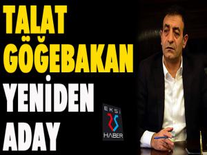 Göğebakan yeniden aday