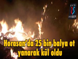 Horasanda 25 bin balya ot yanarak kül oldu