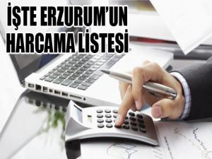 İşte Erzurumlunun harcama listesi