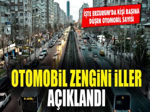 İşte otomobil zengini iller