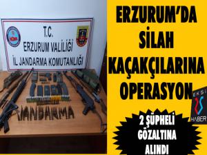 Jandarmadan silah kaçakçılarına yönelik operasyon