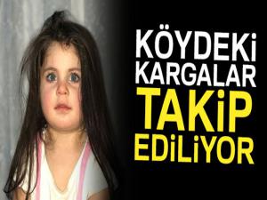 Leyla için Batmandan gelen avcı ekibi dürbünlerle kargaları gözlüyor