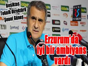 Şenol Güneş: 