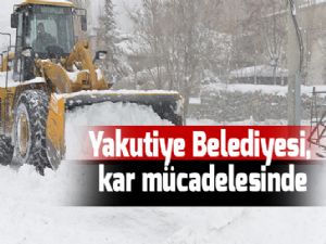 Yakutiye Belediyesi, kar mücadelesinde