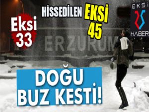 Doğu buz kesti! Erzurum - 33