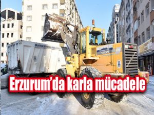 Erzurum'da karla mücadele