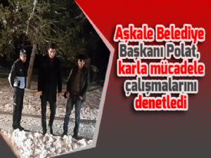 Aşkale Belediye Başkanı Polat, karla mücadele çalışmalarını denetledi