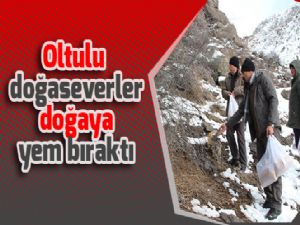 Oltulu doğaseverler doğaya yem bıraktı