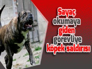 Sayaç okumaya giden görevliye köpek saldırısı