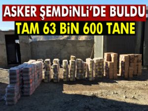 Şemdinli'de 63 bin 600 adet av fişeği ele geçirildi