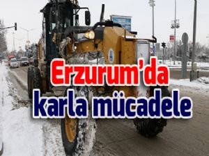 Erzurum'da karla mücadele