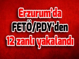 Erzurum'da FETÖ/PDY'den 12 zanlı yakalandı