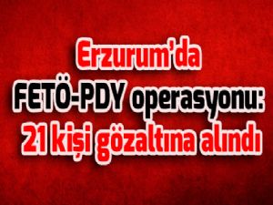 Erzurum'da FETÖ-PDY operasyonu: 21 kişi gözaltına alındı