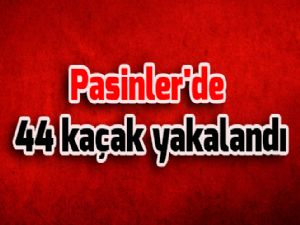 Pasinler'de 44 kaçak yakalandı