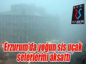 Erzurum'da yoğun sis uçak seferlerini aksattı