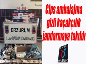 Cips ambalajına gizli kaçakçılık jandarmaya takıldı