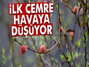 İlk cemre havaya düşüyor!