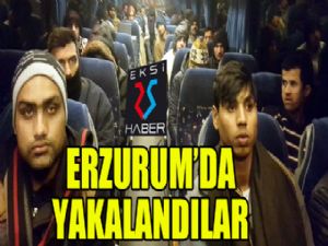 Erzurum'da yakalandılar..