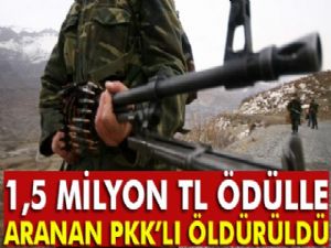 1,5 milyon TL ödülle aranan PKK'lı öldürüldü