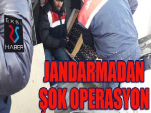 Jandarmadan şok operasyon