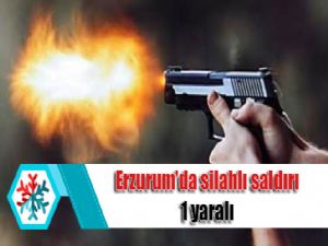 Erzurum'da silahlı saldırı: 1 yaralı