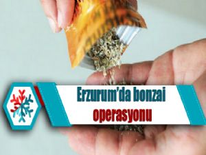 Erzurum'da bonzai operasyonu