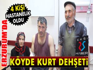 Erzurum'da kurt köylülere saldırdı: 4 yaralı