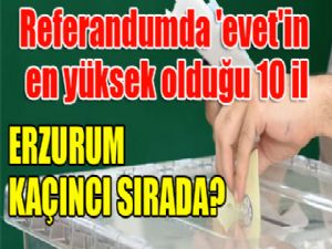 Referandumda 'evet'in en yüksek olduğu 10 il