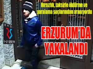 Suç makinesi Erzurum'da yakalandı...