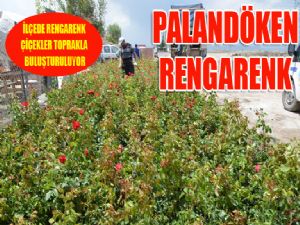 Palandöken rengarenk