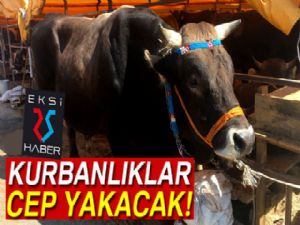 Kurbanlıklar cep yakacak