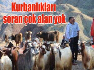 Kurbanlıkları soran çok alan yok