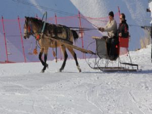 Atlı kızakla Palandöken turu...