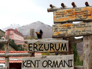 Soğuk hava etkisini gösterdi... Erzurum'da kar var..