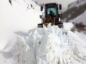 Çığ düşen yol 14 saatlik bir çalışmayla açıldı...