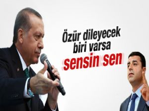 Cumhurbaşkanı Erdoğan'dan Demirtaş'a özür dilesin cevabı