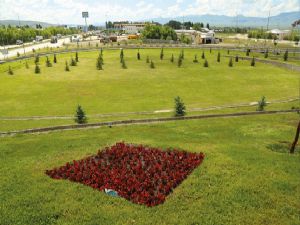 Erzurum rengarenk..