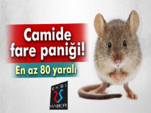 Camide fare paniği: En az 80 yaralı