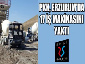 PKK, Erzurum'da 17 araç yaktı...