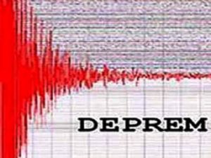 Muş'ta deprem... Erzurum'da sallandı