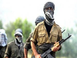 Ağrı'da 2 PKK'lı terörist yakalandı