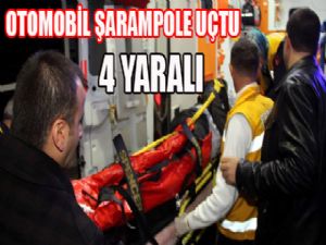 Otomobil şarampole uçtu: 4 yaralı...