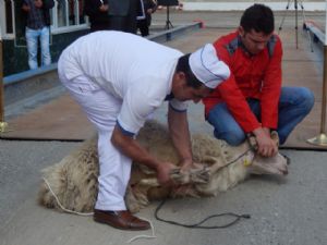 Kurban Bayramı tatili belli oldu...