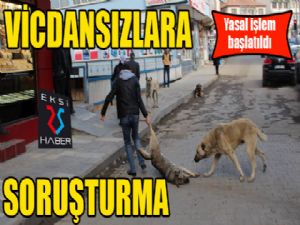 Vicdansızlara soruşturma!