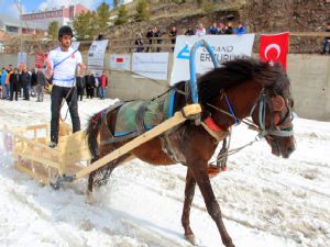 Palandöken'de atlı kızaklar yarıştı...